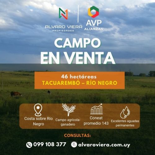 Campo en venta de 46 hectáreas con costa sobre el Río Negro en Tacuarembó