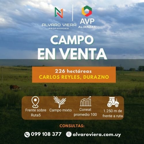 Campo en venta de 226 hectáreas sobre Ruta 5 en Carlos Reyles, Durazno