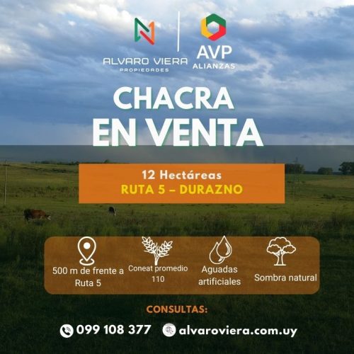  Chacra en venta – 12 hectáreas sobre Ruta 5, Durazno