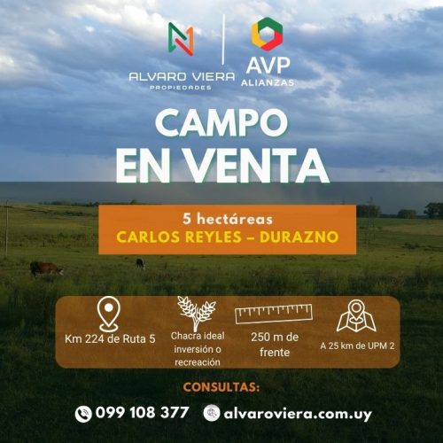 Chacra en venta de 5 hectáreas en Carlos Reyles, Durazno sobre Ruta 5