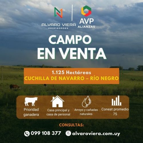 Campo ganadero en venta de 1.125 hectáreas en Río Negro – Cuchilla de Navarro