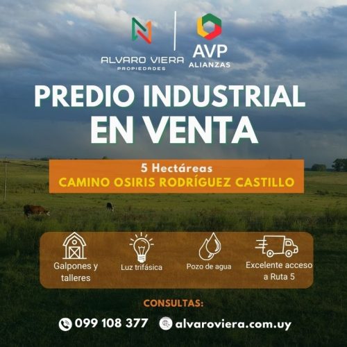Predio industrial en venta en Montevideo – 5 hectáreas con galpones y oficinas