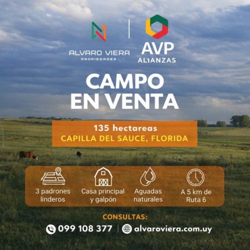 Campo en venta de 135 hectáreas en Florida con casa y galpón
